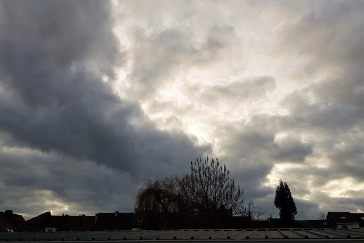 Week in beeld – week 51