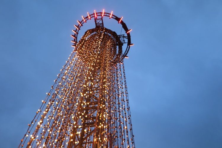 Week in beeld – week 52