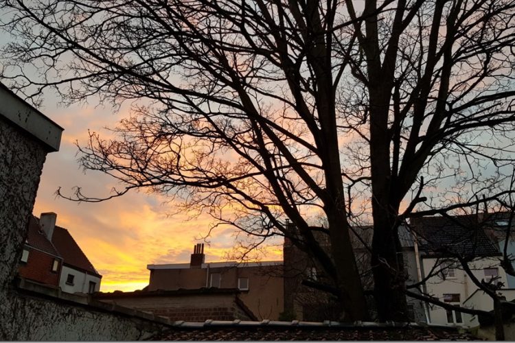 Week in beeld – week 3