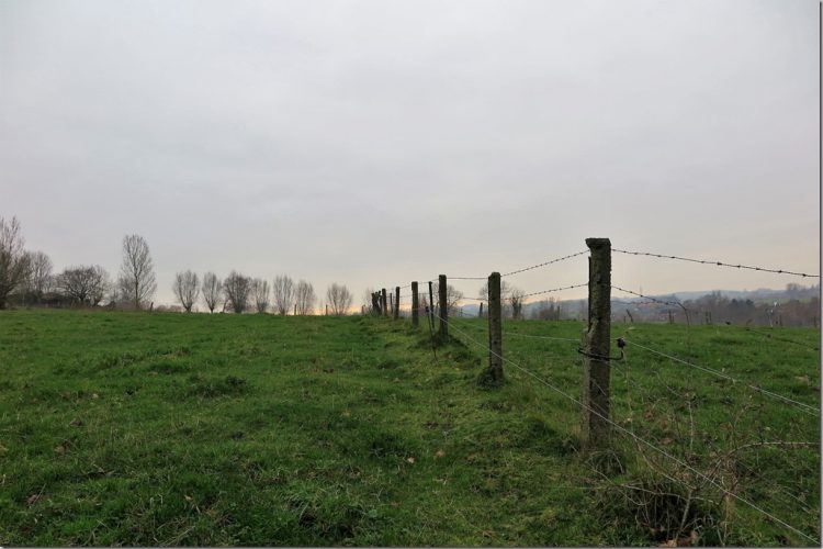 Week in beeld – week 1