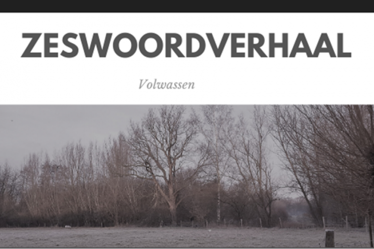 Zeswoordverhaal: volwassen