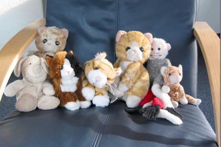 Throwback Thursday: knuffeldier