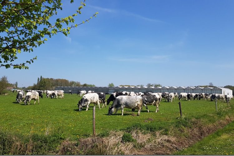 Week in beeld – week 16