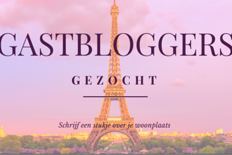 Gastbloggers gezocht!