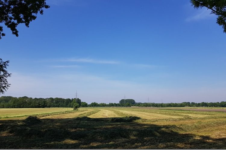 Week in beeld – week 19