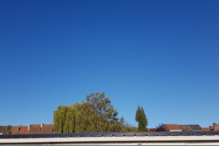 Week in beeld – week 20