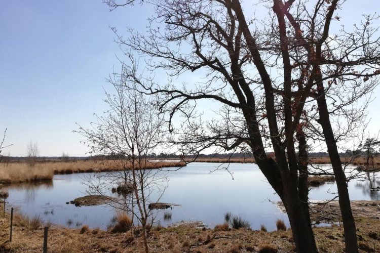 Gastblog: Mijn plek onder de zon