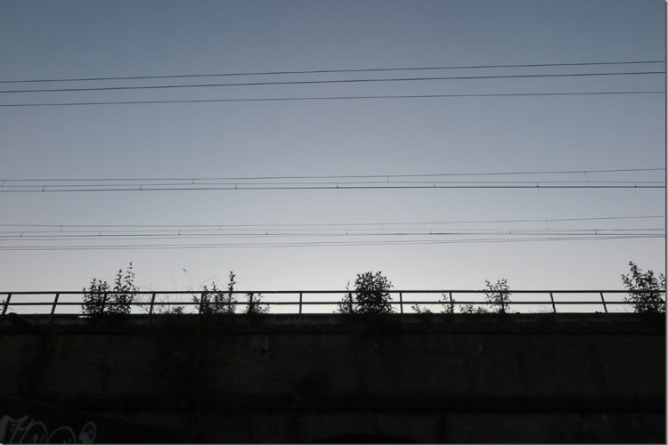 Week in beeld – week 22