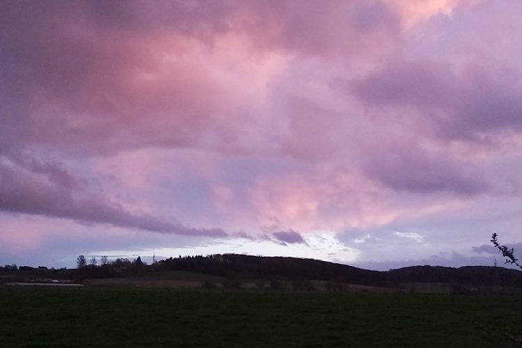 Gastblog: Oudenaarde/Leupegem