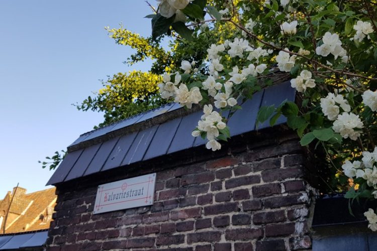 Afsluiting reeks gastblogs: Sint-Amandsberg