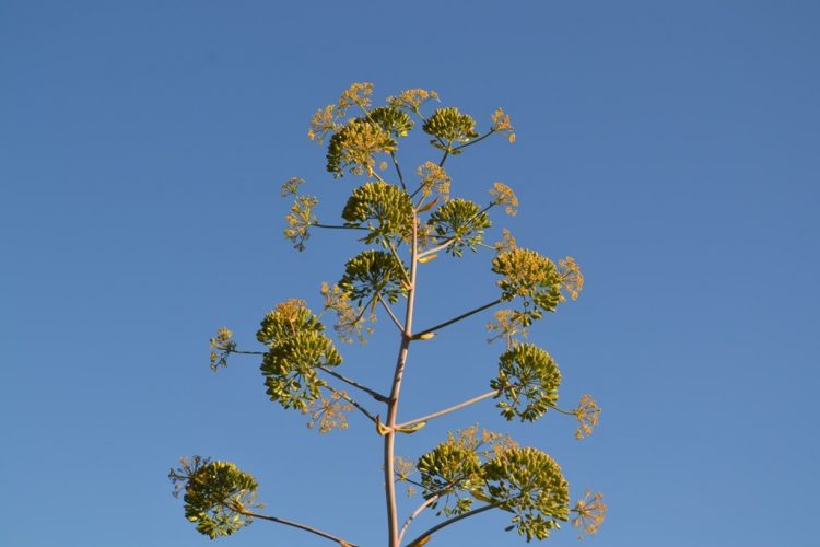 Op reis: Viviers &ndash; La Couronne (Martigues)