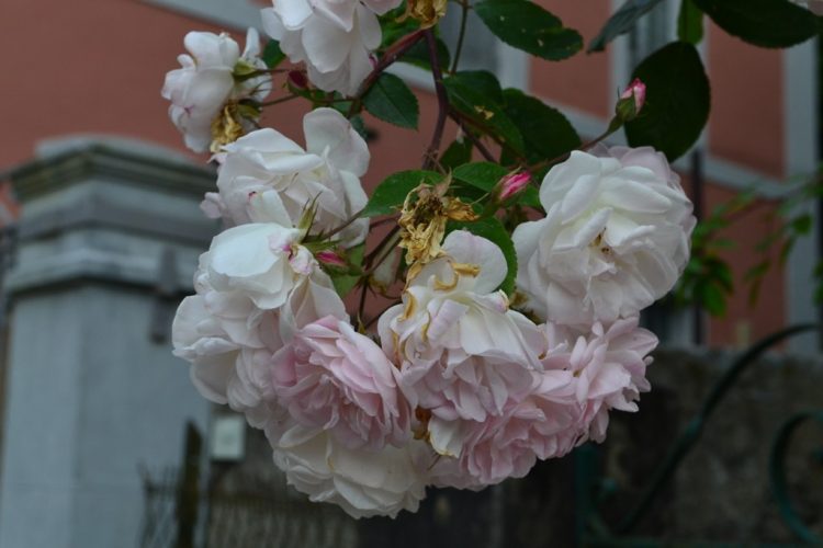Op reis: Luz-Saint-Sauveur – Labenne Oc&eacute;an