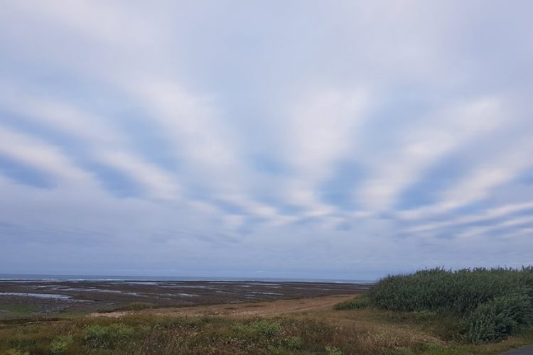 Op reis: ÃŽle d’Oléron