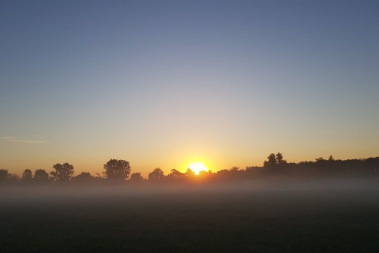 Week in beeld – week 32