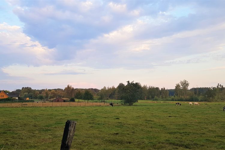 Week in beeld – week 33