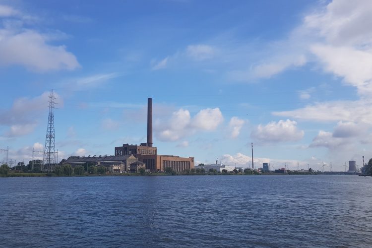 Week in beeld – week 34