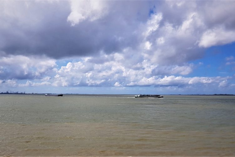 Week in beeld – week 35