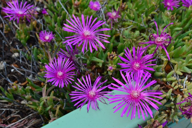 Throwback Thursday: Kleur