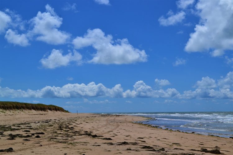 Nagenieten van de reis: Instagram-foto’s deel 2