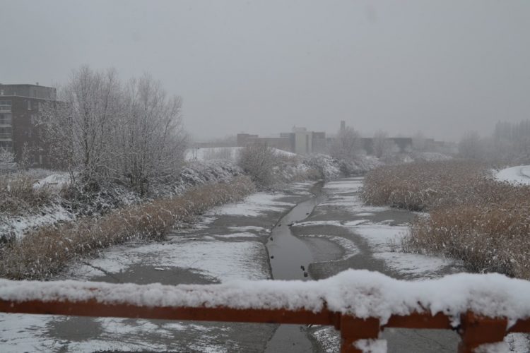 Throwback Thursday: Sneeuw