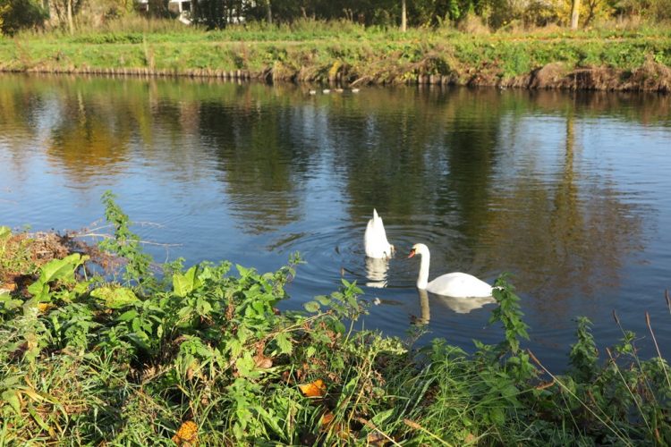 Stapelgedicht: Dit is alles