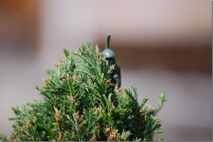 Throwback Thursday: vlinder