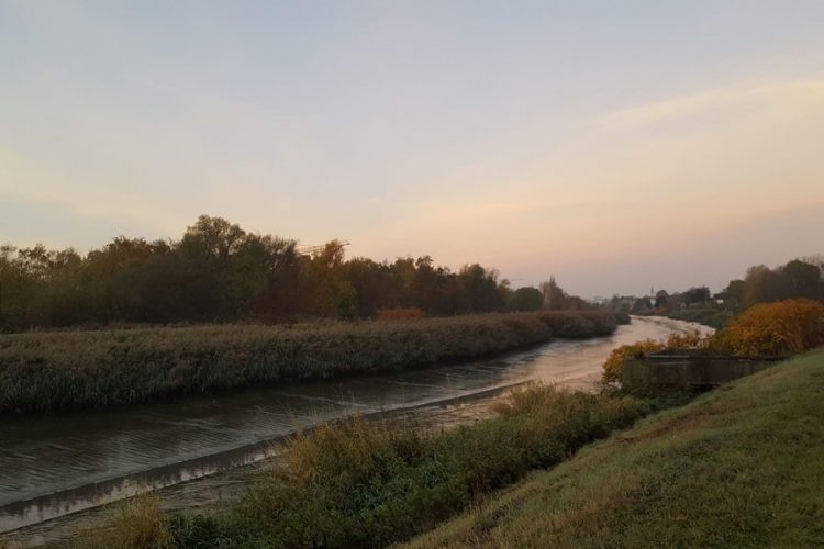 Throwback Thursday: Herfst