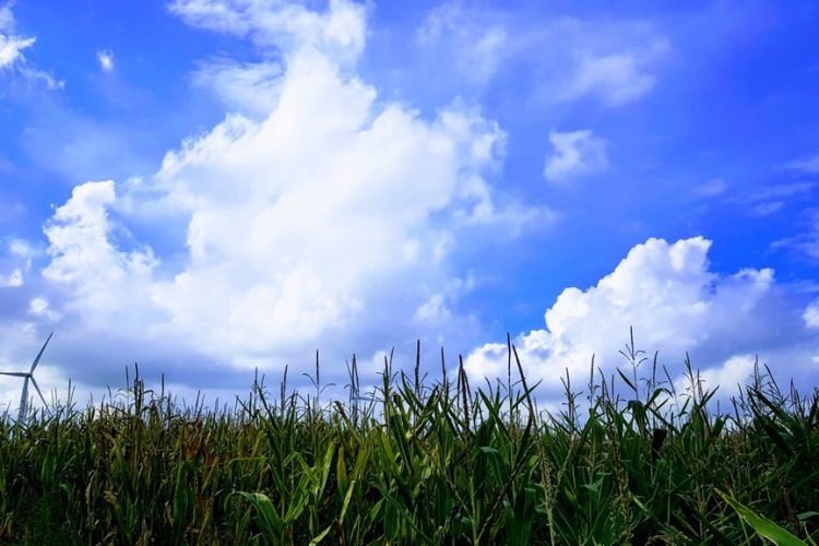 Week in beeld – week 36