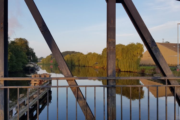 Week in beeld – week 38