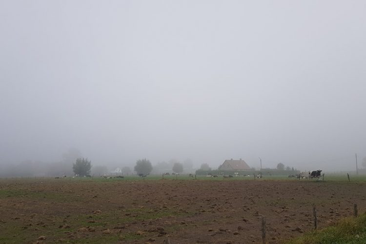 Week in beeld: week 39