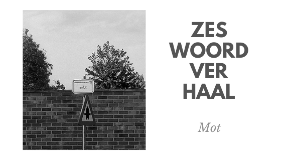 Zeswoordverhaal: mot