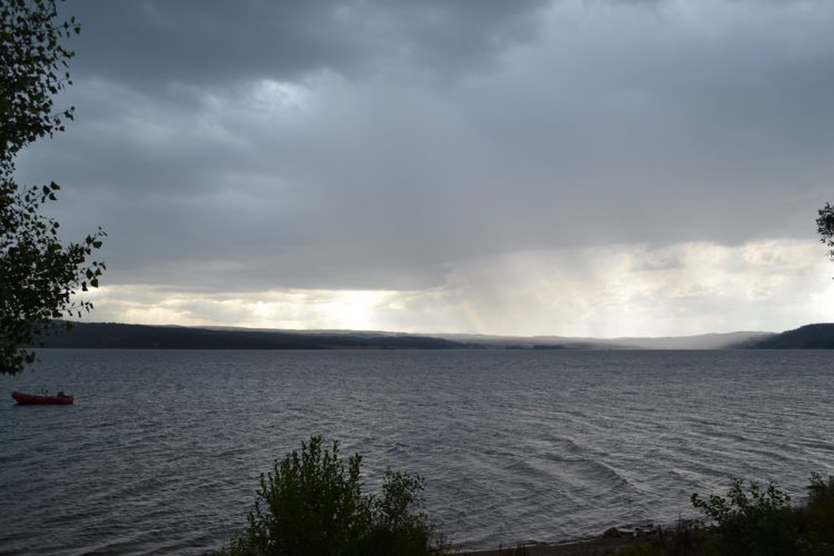 Throwback Thursday: Regen