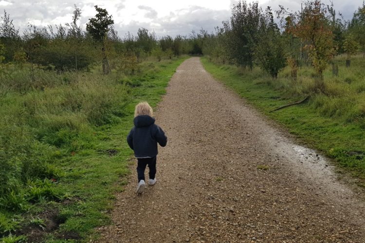 Week in beeld – week 41