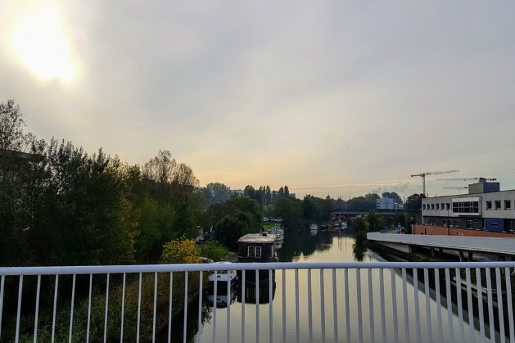 Week in beeld – week 42