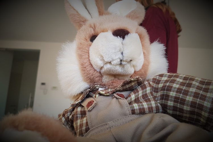 Throwback Thursday: knuffeldier (2)