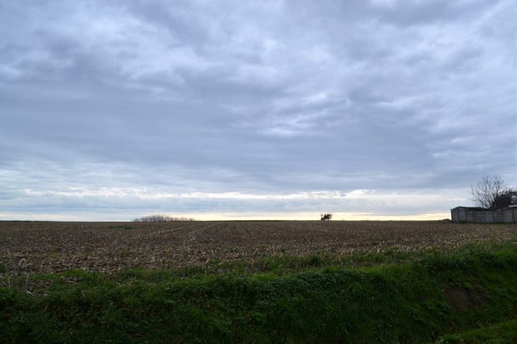 Week in beeld – week 47