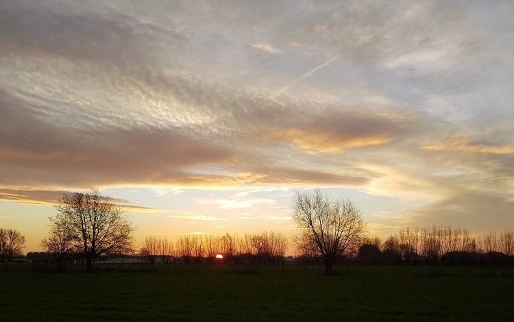 Week in beeld – week 52