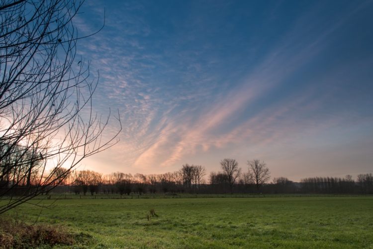 Week in beeld – week 51