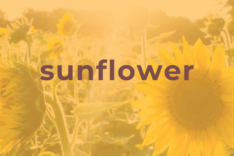Sunflower #wedraaiendoor