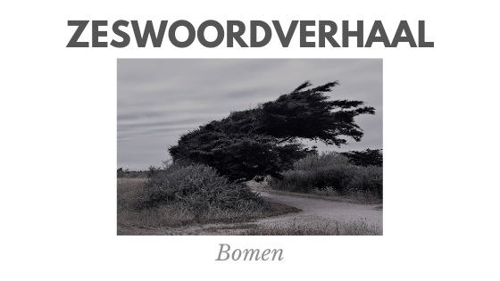 Zeswoordverhaal: bomen