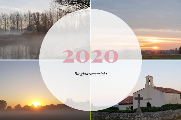 Mijn blogjaar 2020