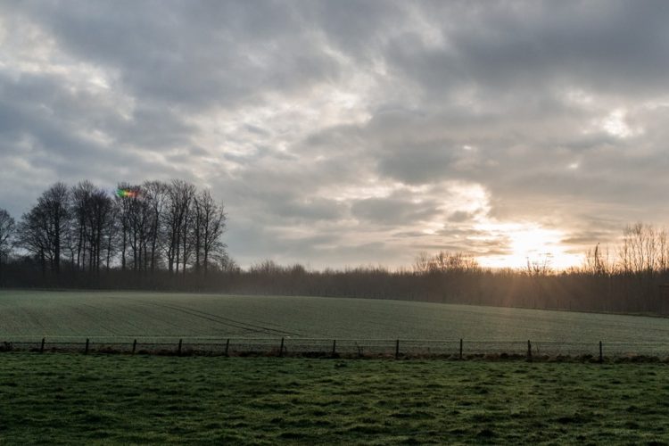 Week in beeld – week 53