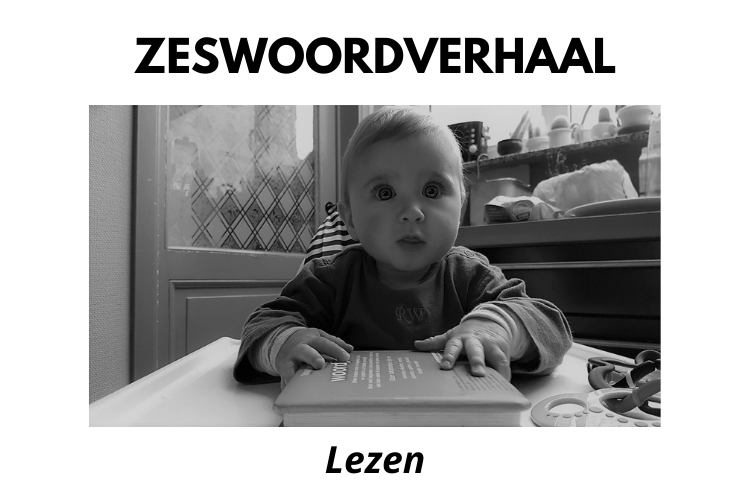 Zeswoordverhaal: lezen