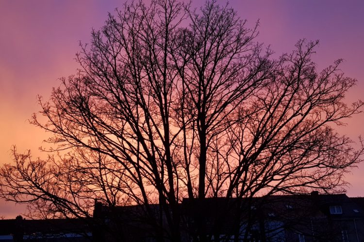 Week in beeld – week 7