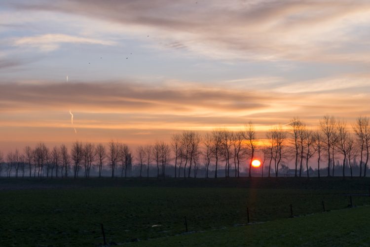 Week in beeld – week 5