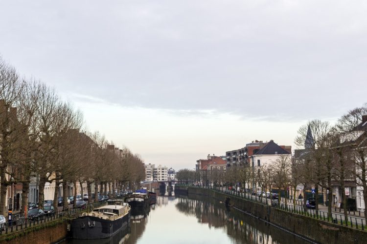 Week in beeld – week 6