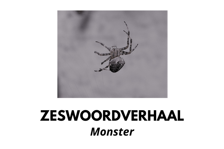 Zeswoordverhaal: Monster