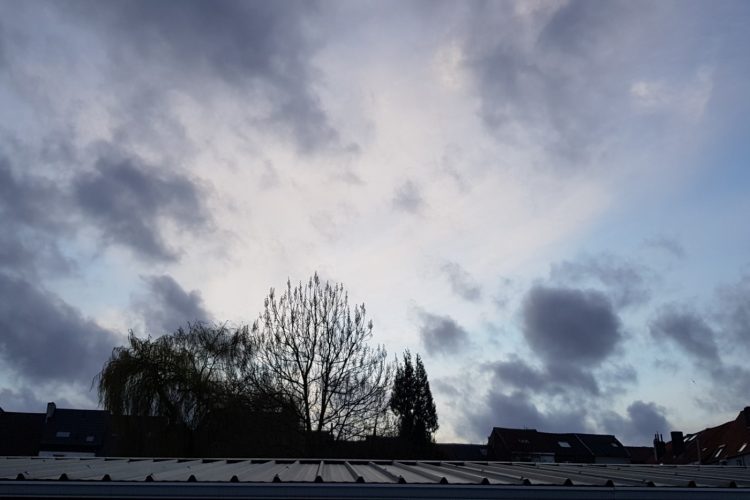 Week in beeld – week 10