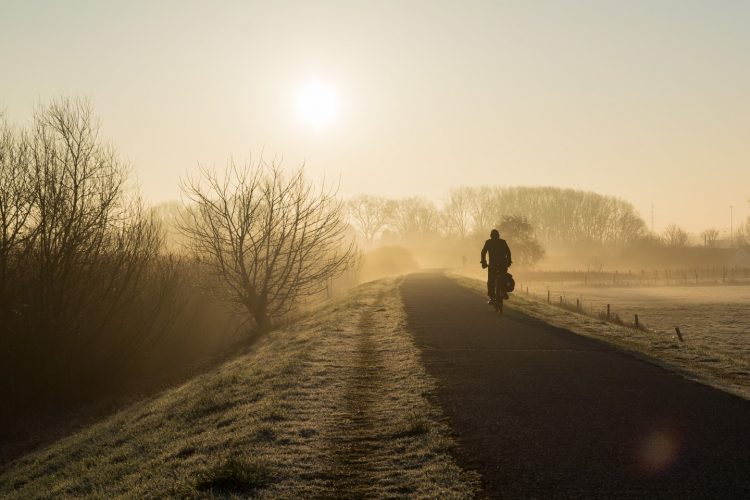 Week in beeld – week 9