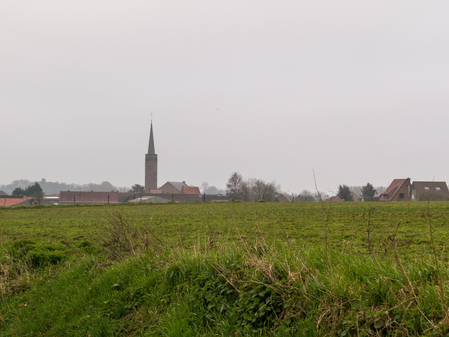 Week in beeld – week 12